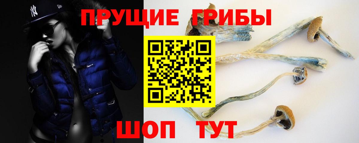 Гагарин  Псилоцибиновые грибы Cubensis  Вход с VPN 